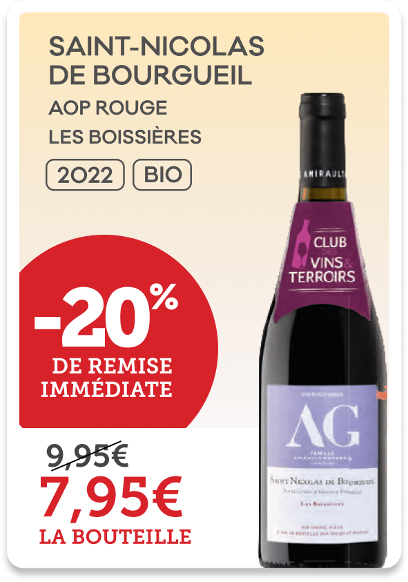 13-SAINT-NICOLAS DE BOURGUEIL